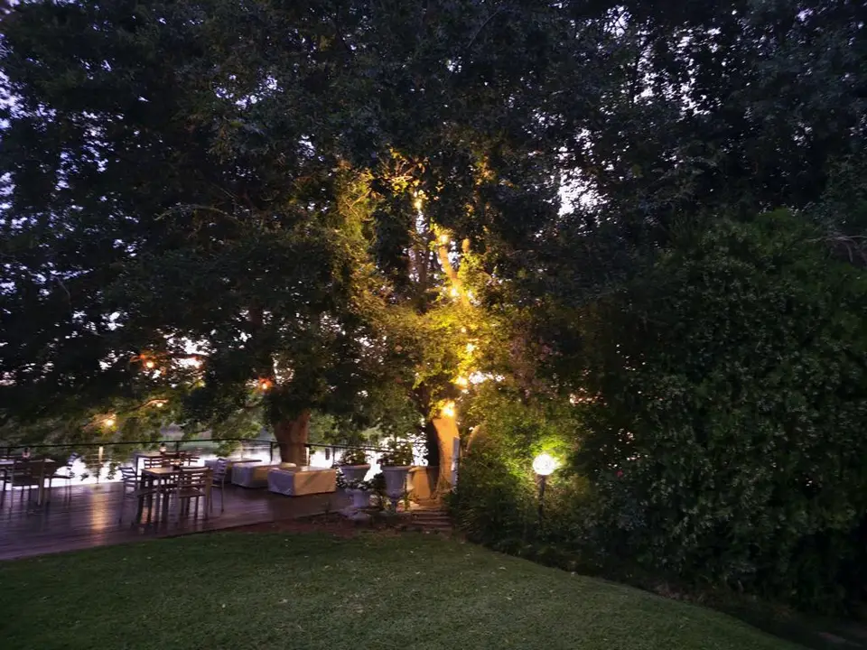 20260208_194057.JPG