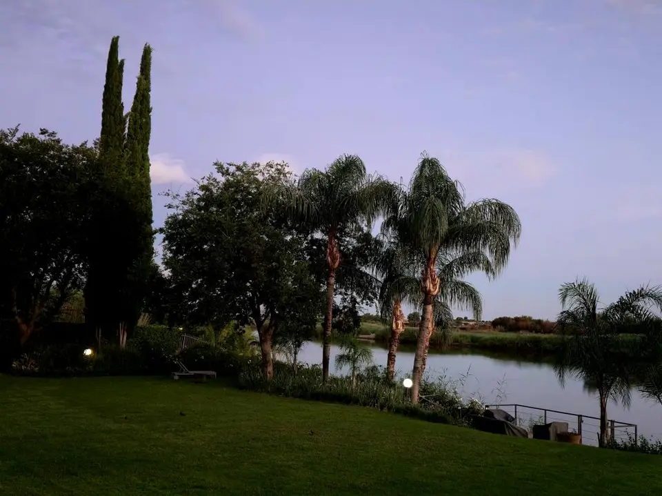 20260208_194129.JPG