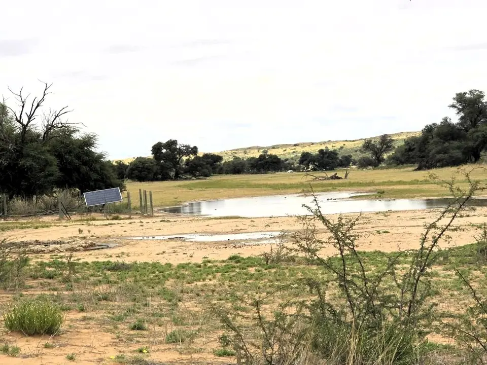20260216_113821.JPG