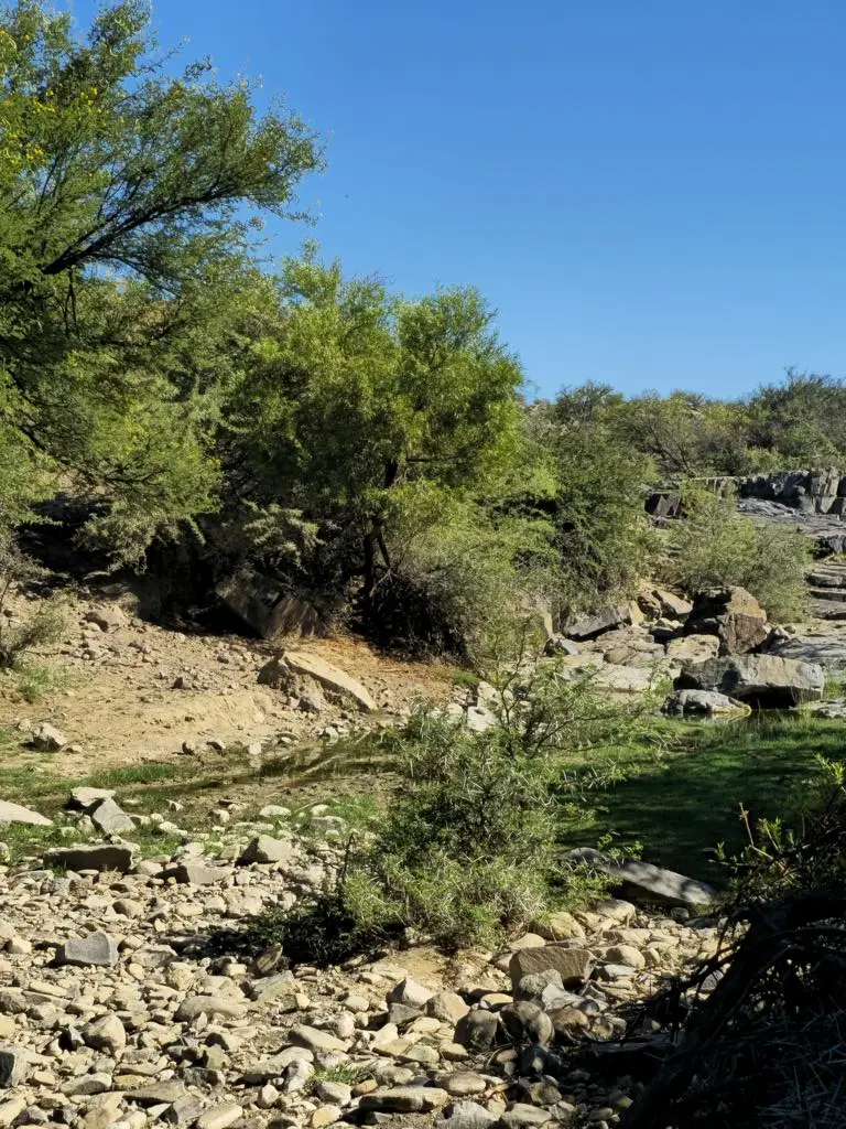 20260221_093506.JPG