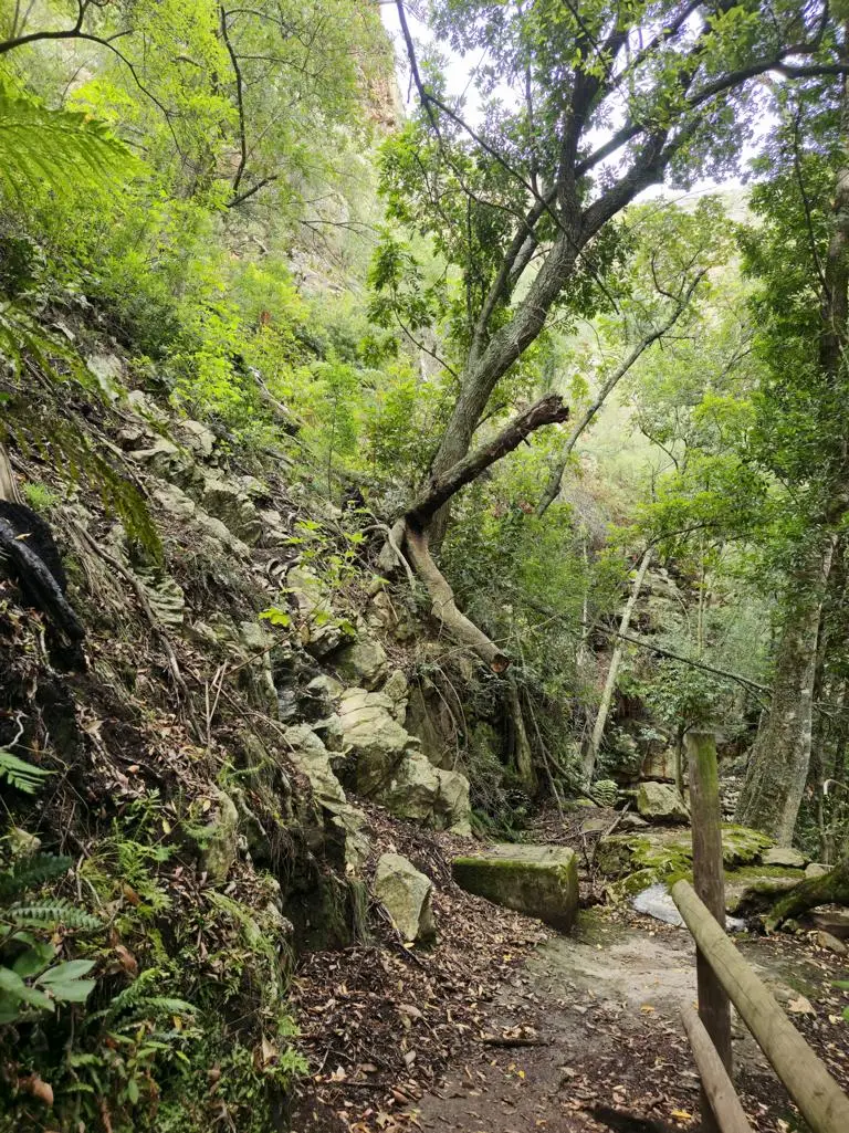 20260223_112530.JPG