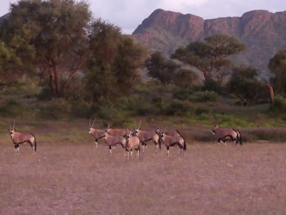 Namibia22Lumix(103).JPG