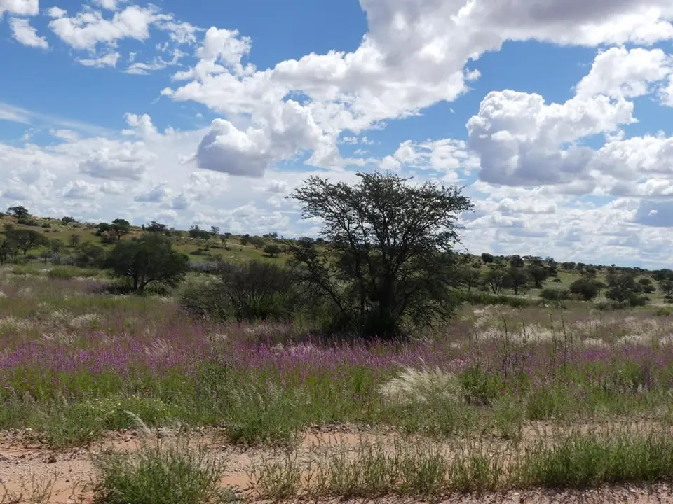 Namibia22Lumix(1040).JPG