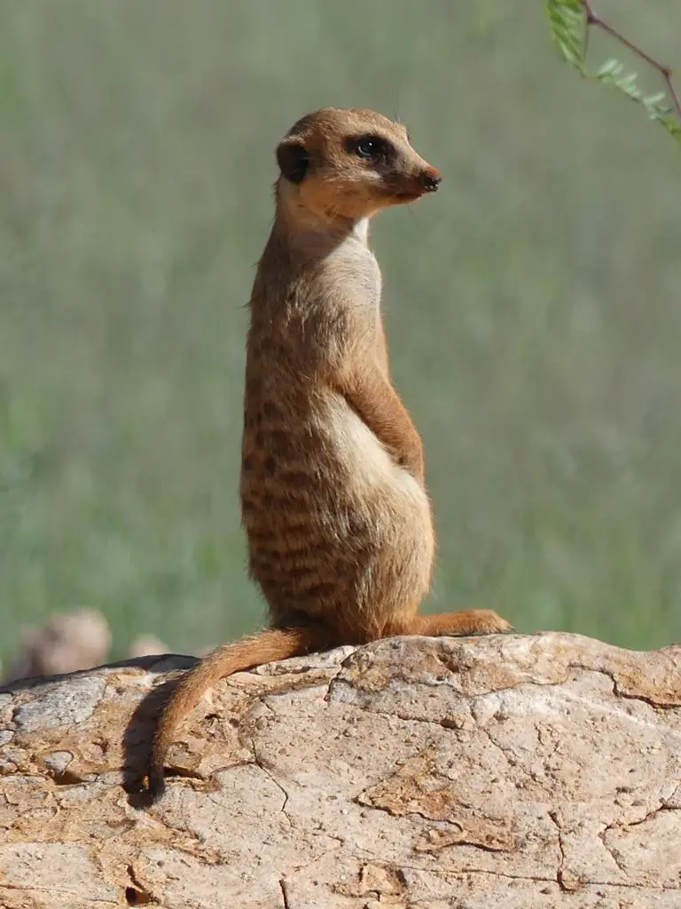 Namibia22Lumix(1152).JPG