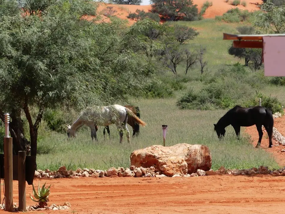 Namibia22Lumix(1165).JPG
