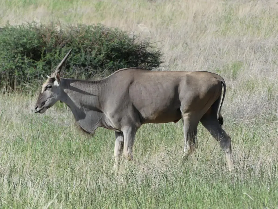 Namibia22Lumix(1172).JPG