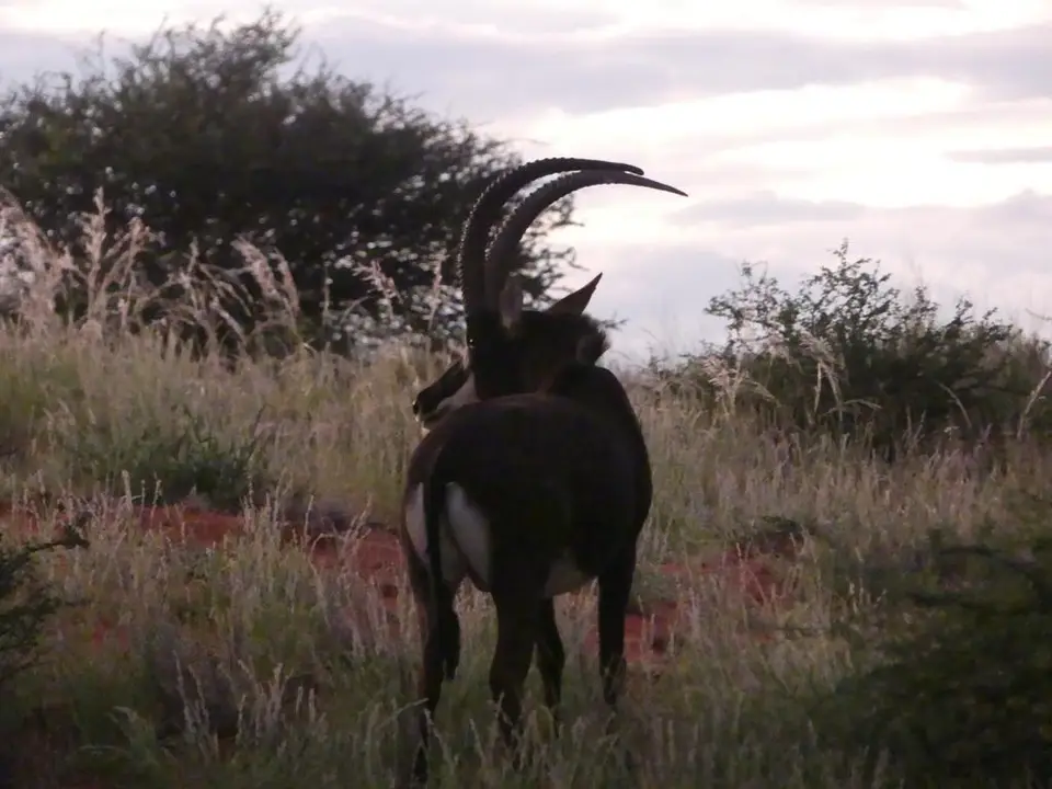 Namibia22Lumix(1196).JPG