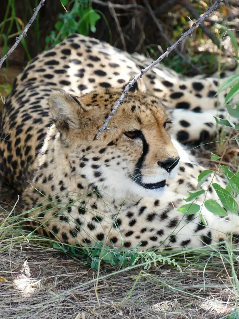Namibia22Lumix(176).JPG