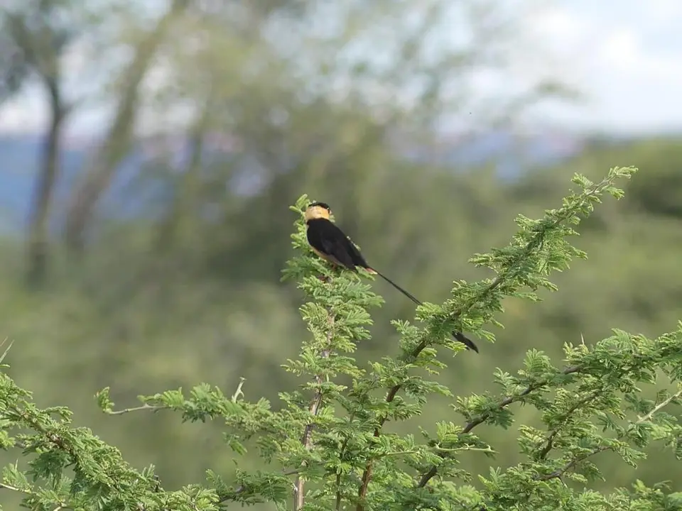 Namibia22Lumix(255).JPG
