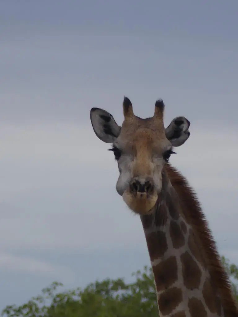 Namibia22Lumix(355).JPG