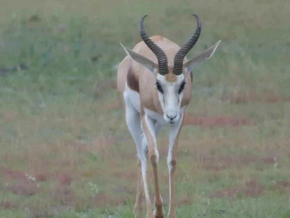 Namibia22Lumix(372).JPG