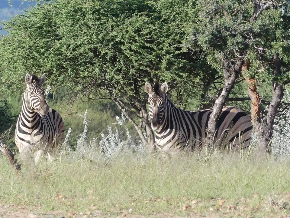 Namibia22Lumix(530).JPG