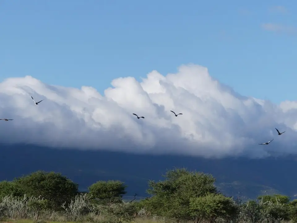 Namibia22Lumix(532).JPG