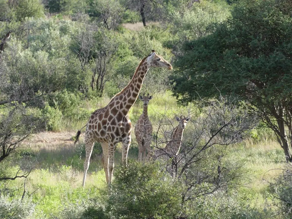 Namibia22Lumix(64).JPG