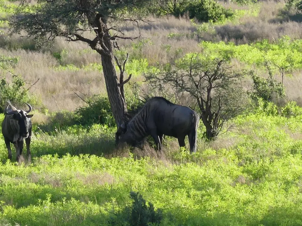 Namibia22Lumix(70).JPG