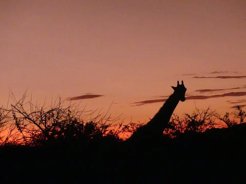 Namibia22Lumix(758).JPG