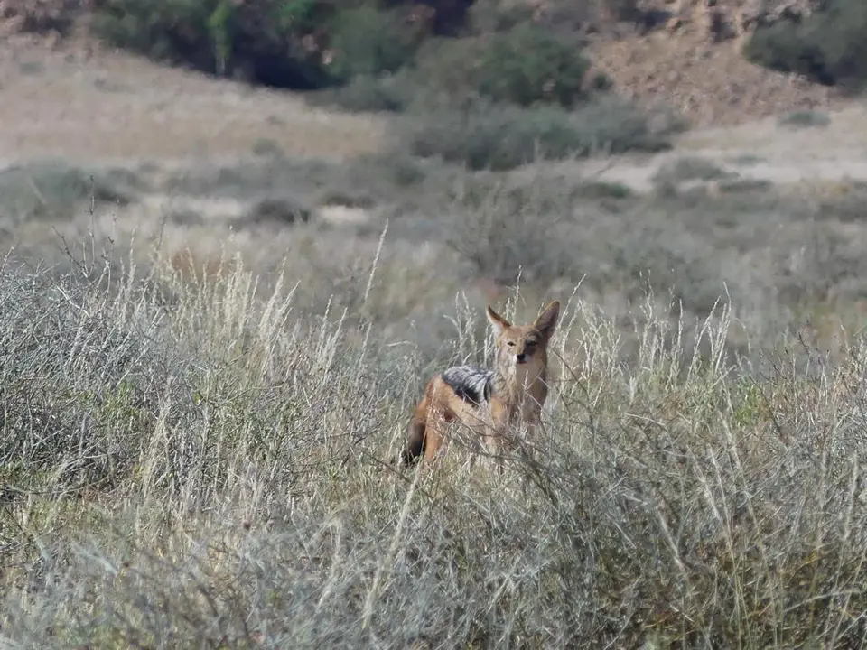 Namibia22Lumix(861).JPG