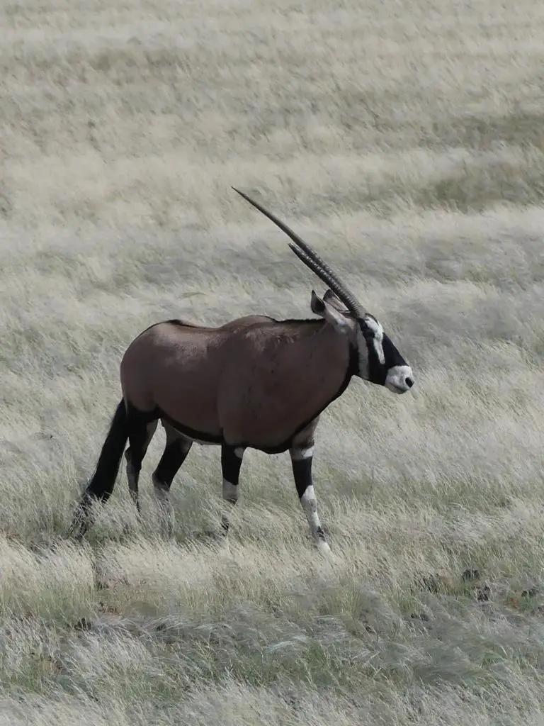 Namibia22Lumix(867).JPG