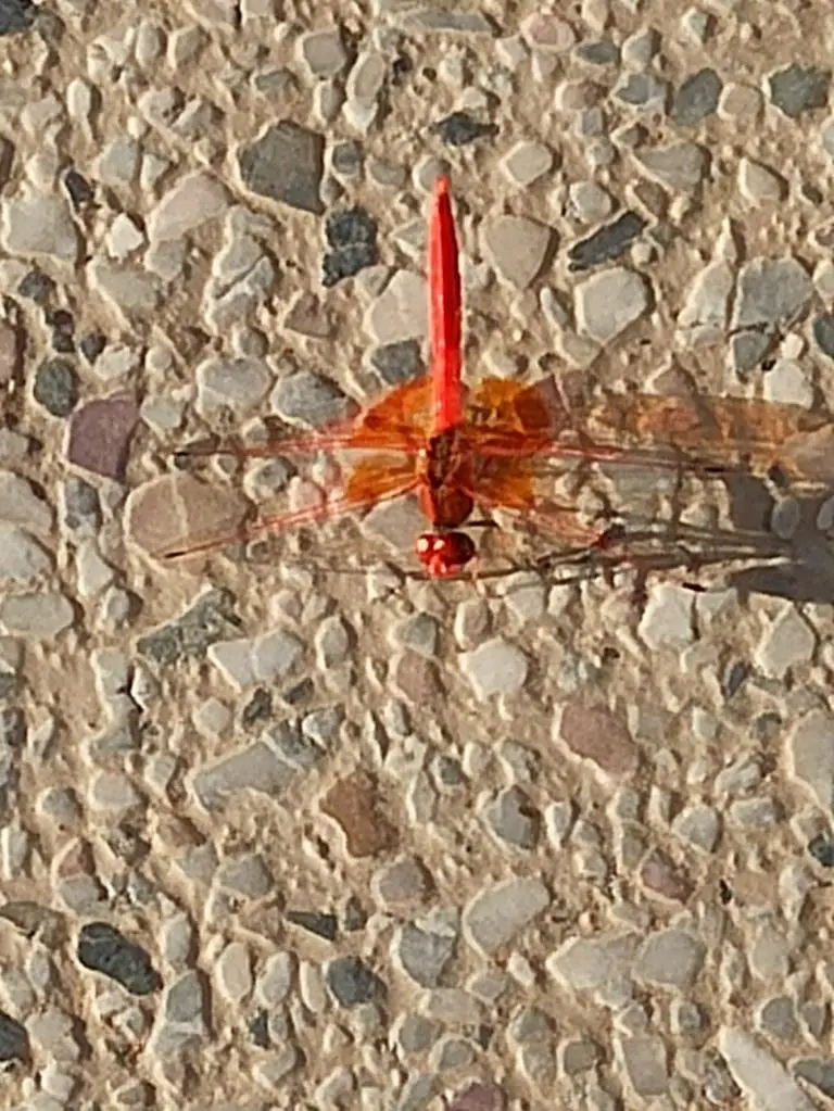 NamibiaSilviaHandy(453).JPG