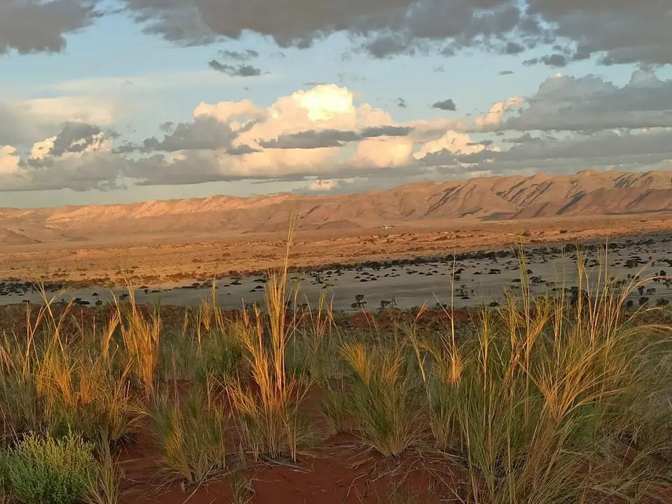 NamibiaSilviaHandy(485).JPG