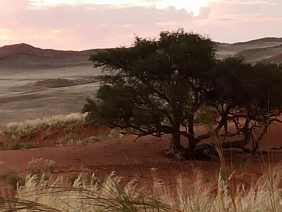 NamibiaSilviaHandy(509).JPG
