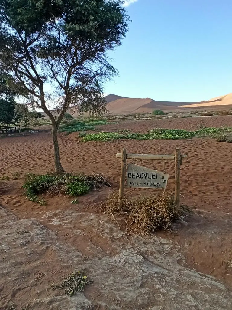 NamibiaSilviaHandy(578).JPG