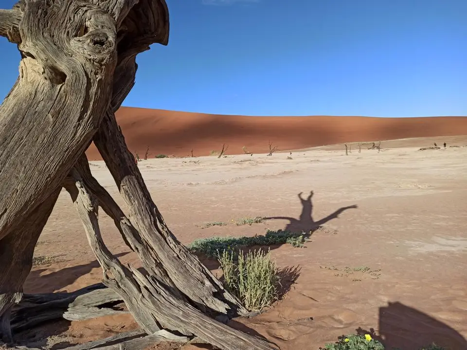 NamibiaSilviaHandy(585).JPG