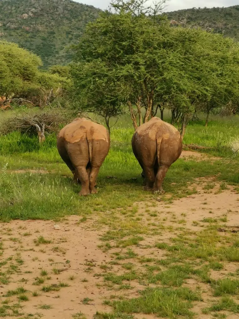NamibiaUweHandy(138).JPG