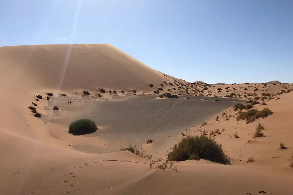 dead_nebenvlei2.jpg