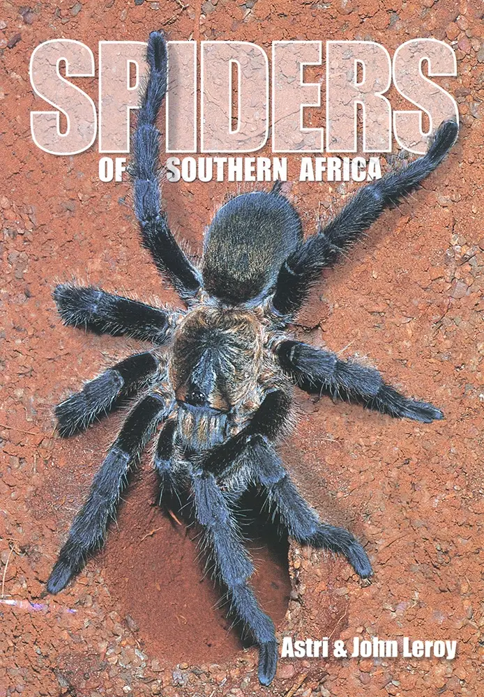 22014_spiders-of-southern-africa.jpg