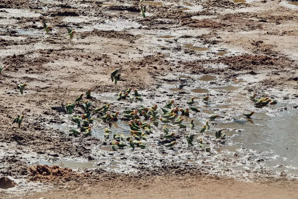 DSCF6955.jpg