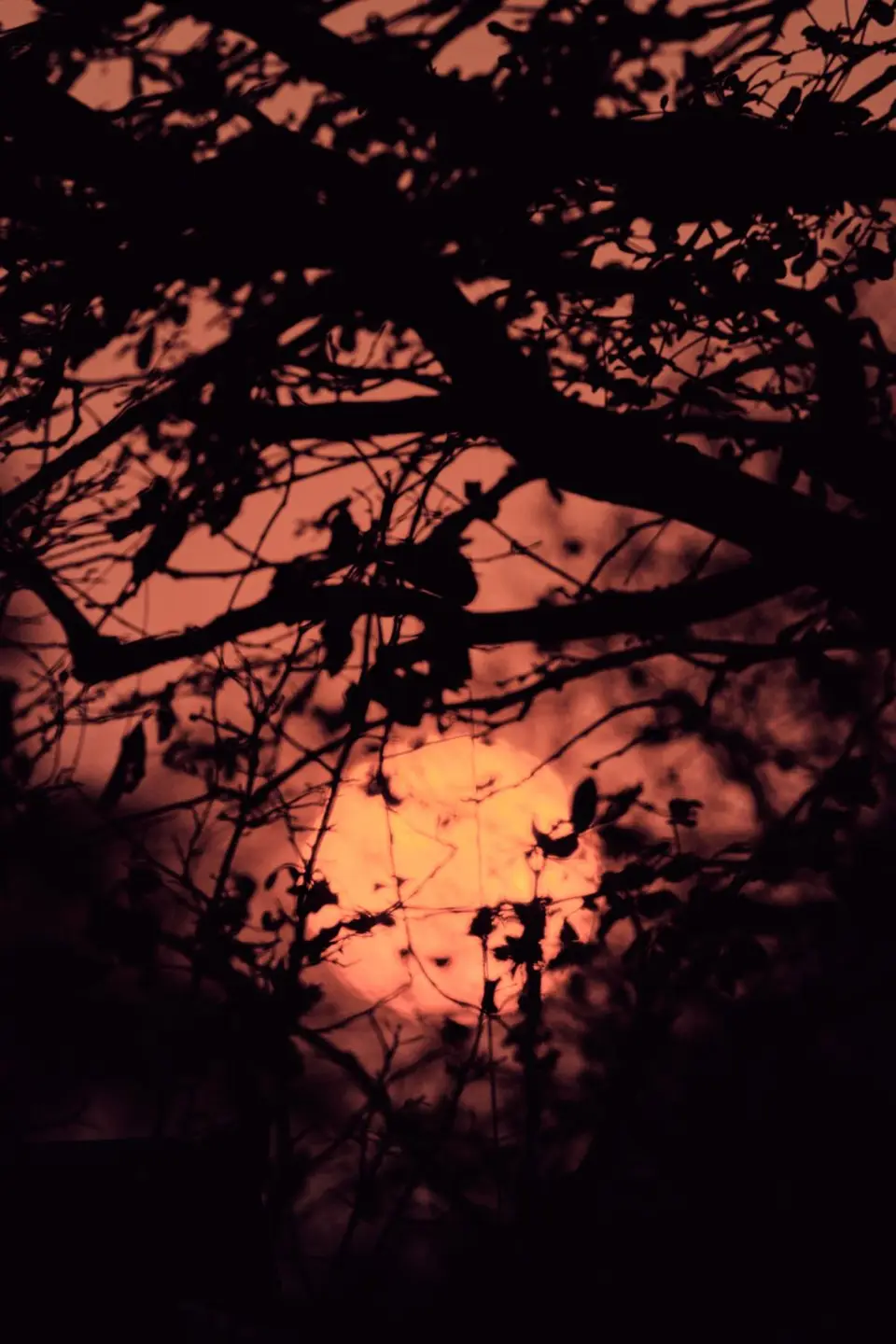 DSCF7309.jpg