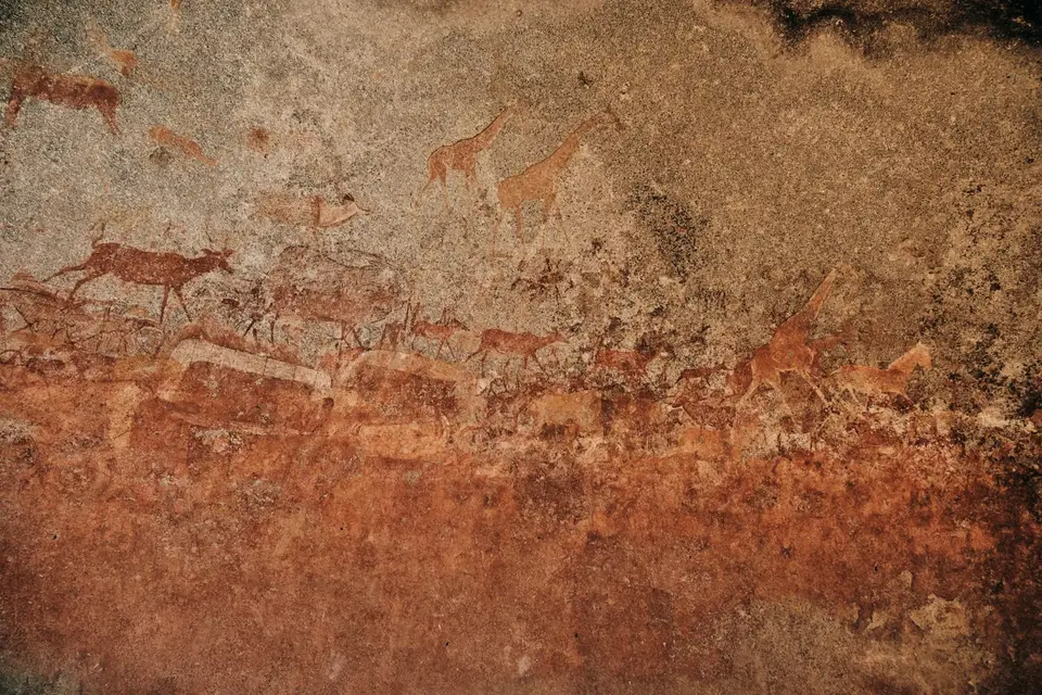 DSCF7353.jpg
