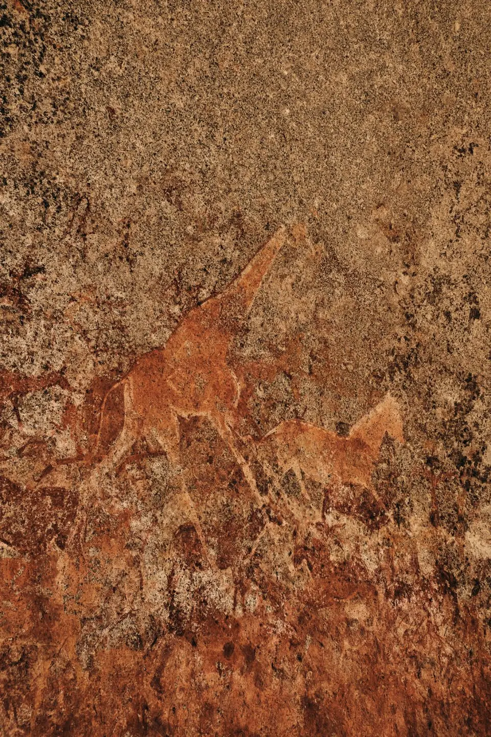 DSCF7358.jpg