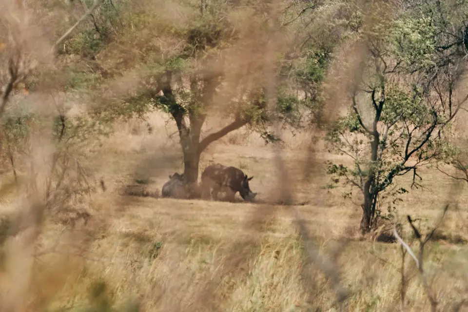 DSCF7388.jpg