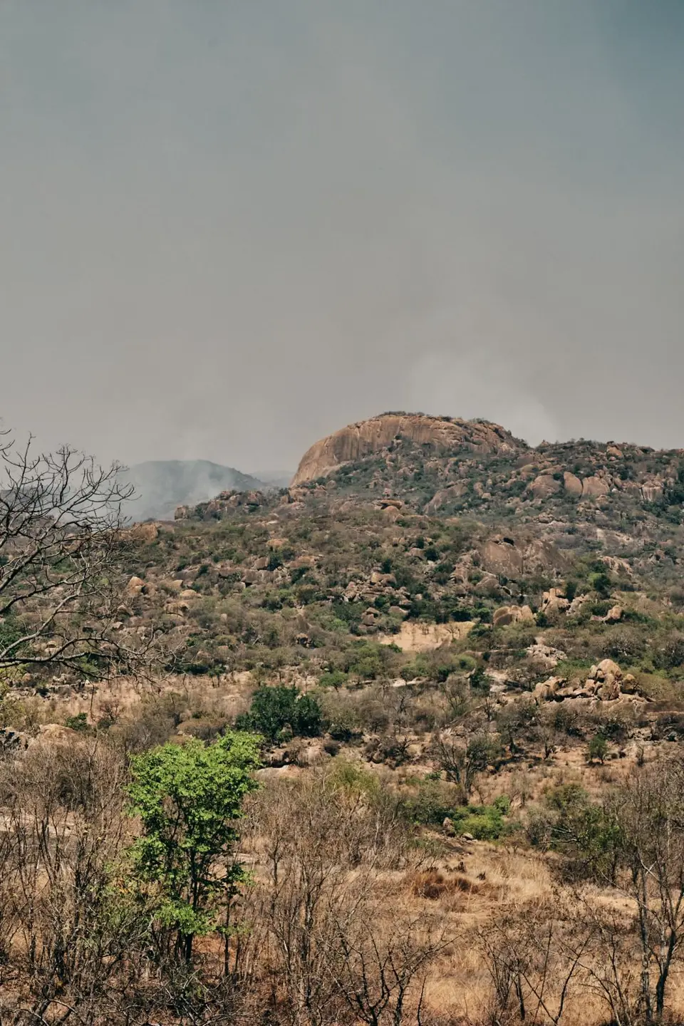 DSCF7419.jpg
