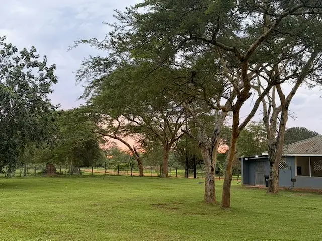 2026-06-01_034_Uganda.jpg