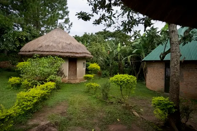 2026-06-02_056_Uganda.jpg