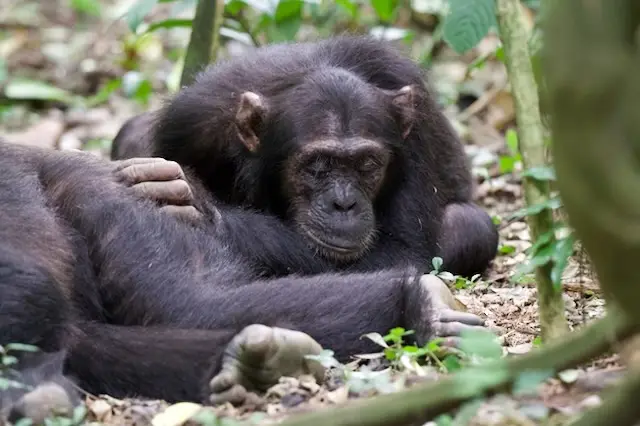 2026-06-02_068_Uganda.jpg
