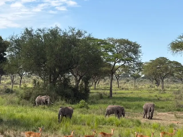 2026-06-04_013_Uganda.jpg