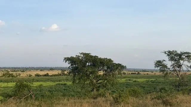2026-06-10_026_Uganda.jpg