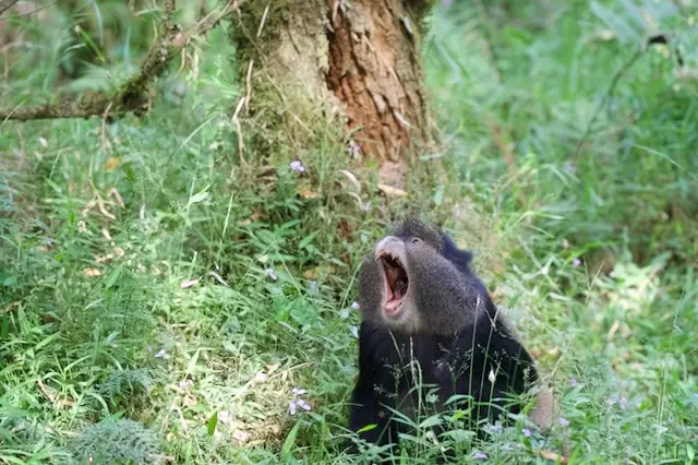 2026-06-15_040_Uganda.jpg