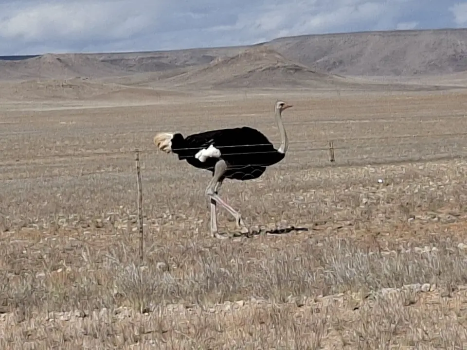 20260617_132409.jpg