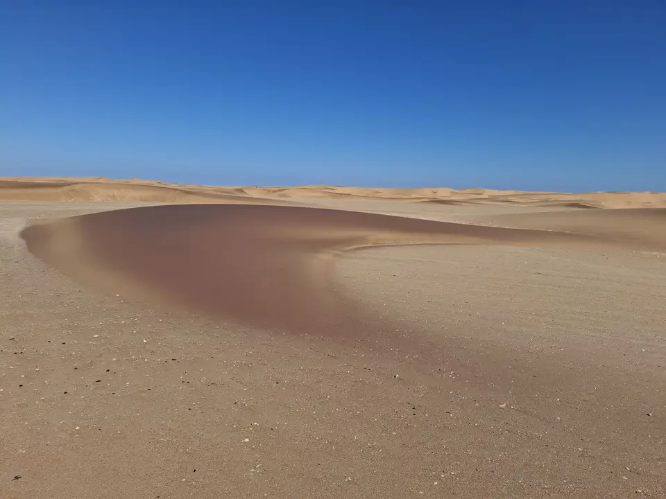 20260621_112919.jpg