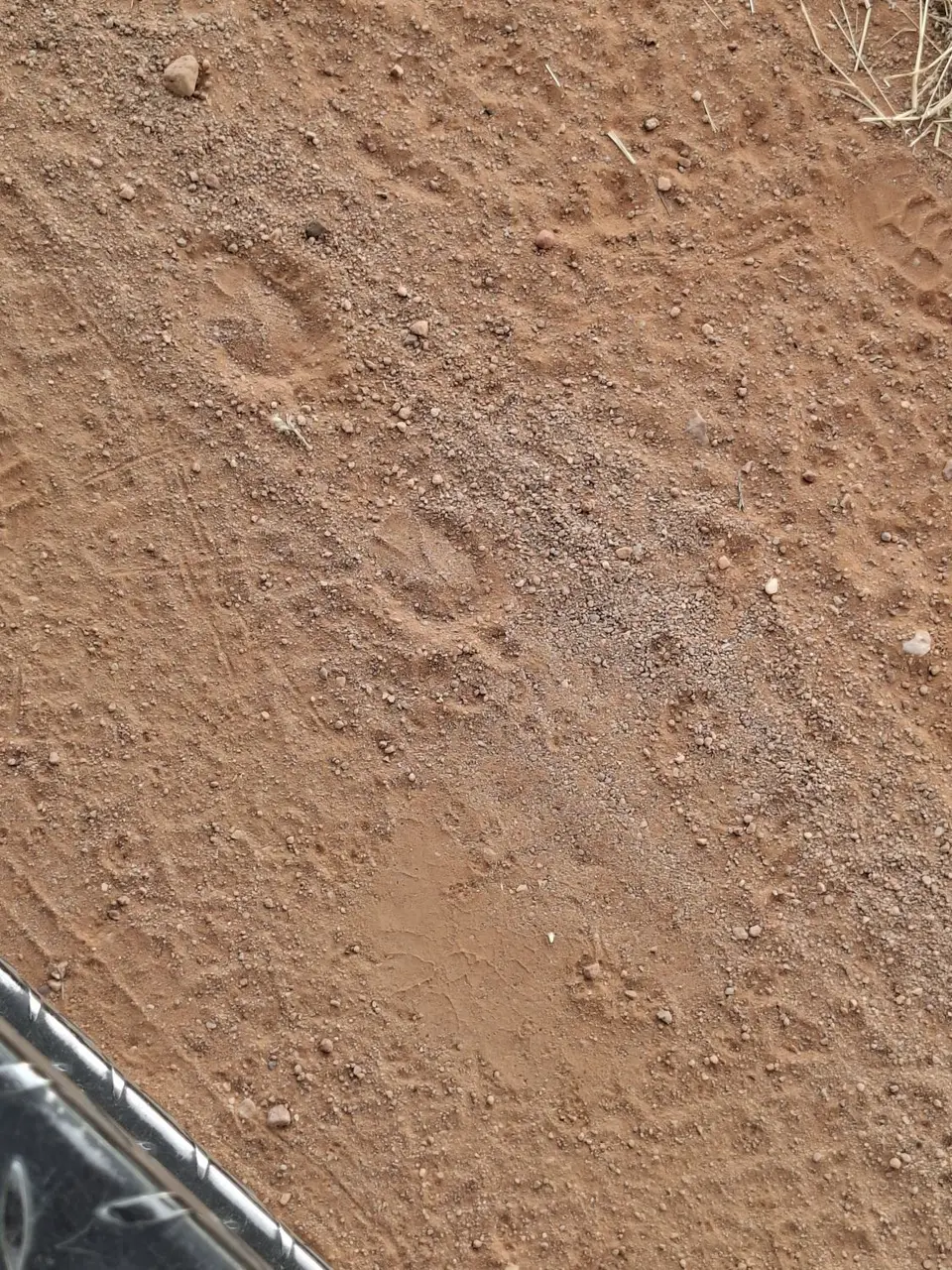 20260626_091144.jpg