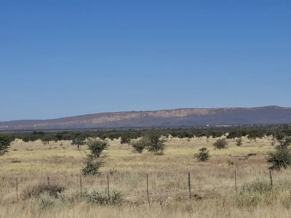 20260702_154634.jpg
