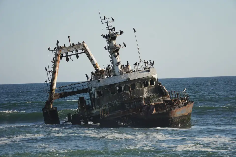 DSA04449.JPG