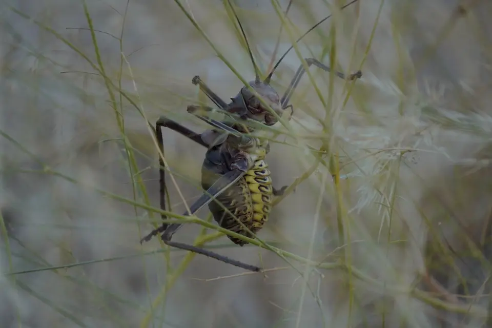 DSA05023.JPG