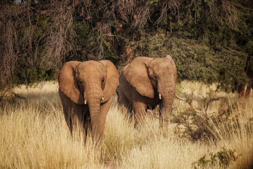 DSA05098.jpeg