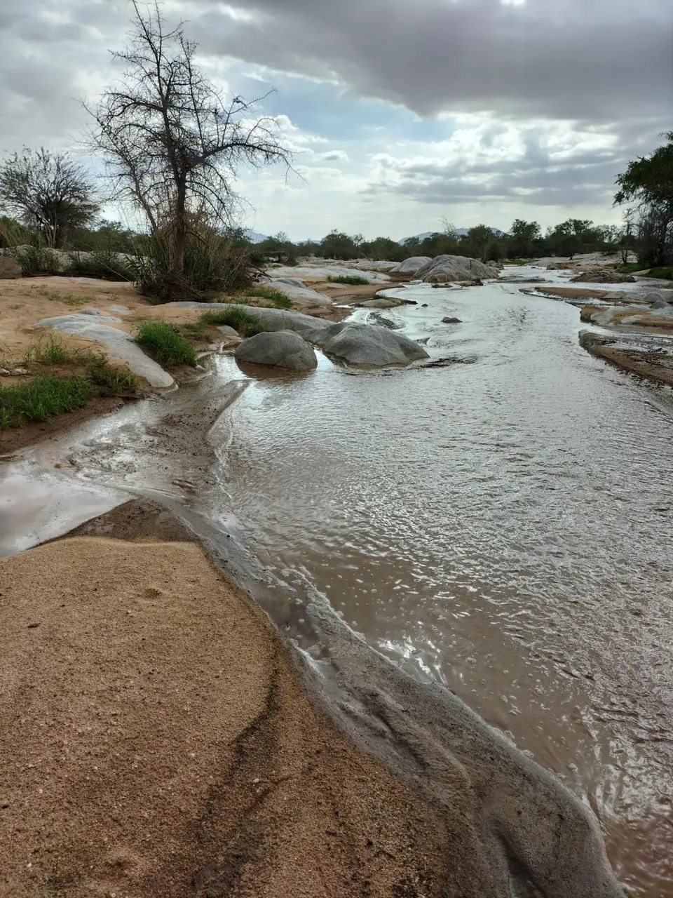 River.jpg